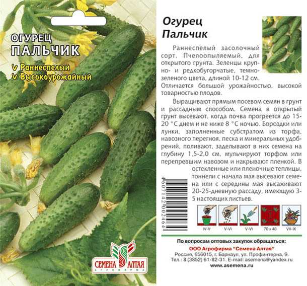 ✅ об огурце пальчик: описание и характеристики сорта, посадка и уход