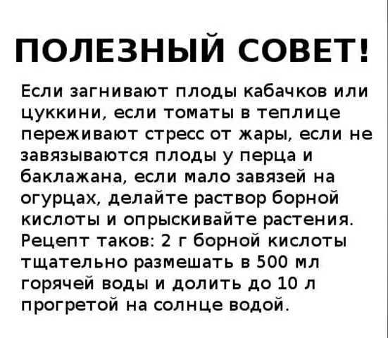 Борная кислота для клубники: подкормка во время цветения для большего урожая