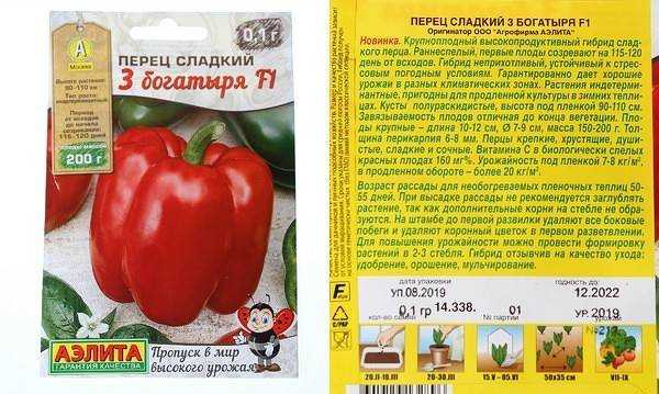 Сорт перца богатырь: его характеристики, посадка и уход