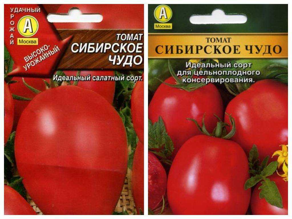 Томат сибирское чудо: описание и характеристика сорта, особенности выращивания, отзывы тех, кто сажал, фото