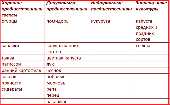 После чего сажать свеклу. что сажать после свеклы?