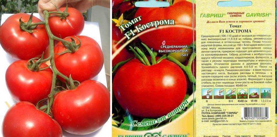 Описание сорта томата алсу, его характеристика и урожайность