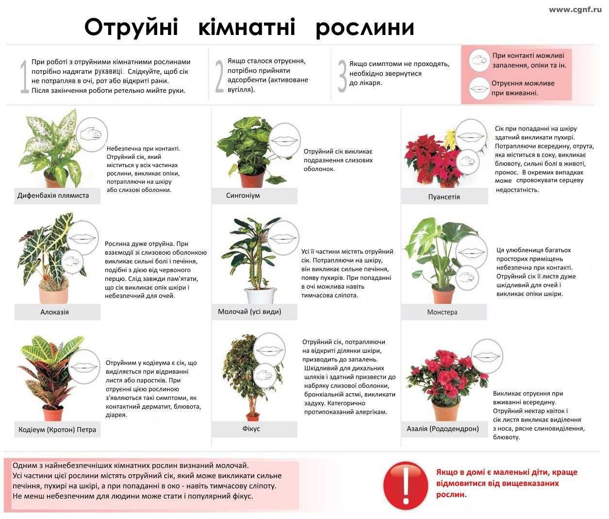 Как по отношениям между супругами можно определить сглаз и порчу