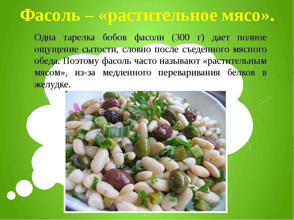 Основные сорта и виды фасоли, описание: фото + видео