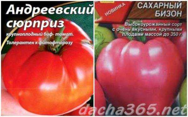 Томат сахарный бизон: отзывы, характеристика и описание сорта
