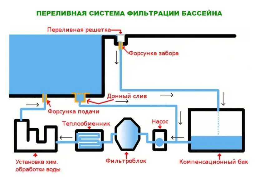 Можно ли поливать водой из бассейна огород, газон, цветы | 5domov.ru - статьи о строительстве, ремонте, отделке домов и квартир