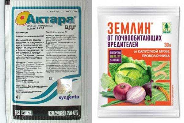 Чем обработать растения, чтобы избавиться от луковой мухи навсегда