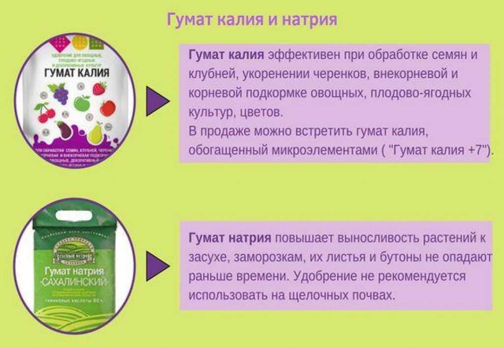 Гумат калия: что это такое, инструкция по применению, состав, аналоги и совместимость с другими препаратами
