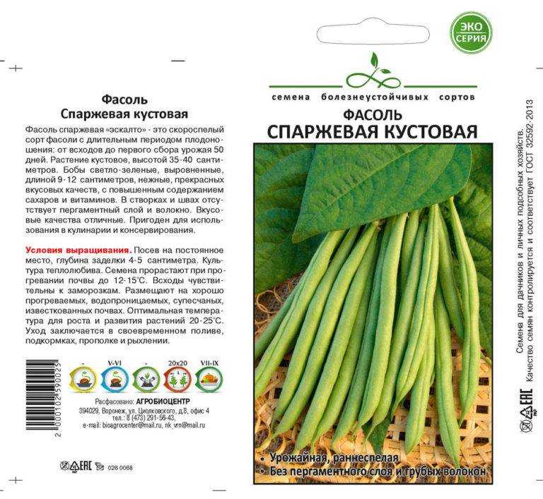 Как посадить фасоль в открытый грунт: пошаговое руководство