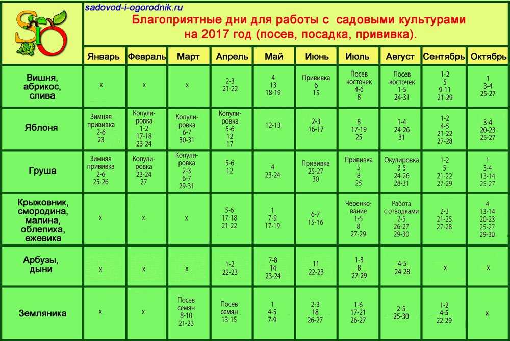 Яблони — одни из самых популярных плодовых деревьев на садовых участках В подходящих условиях они растут и плодоносят без особых проблем долгие годы