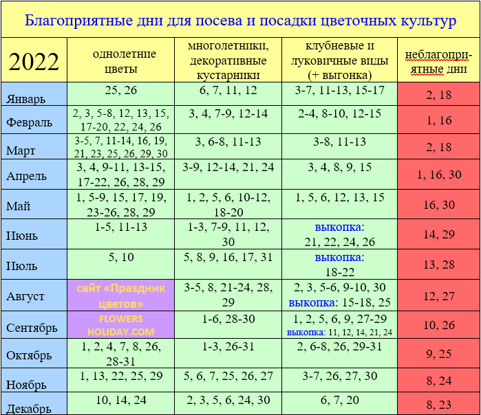 Какие цветы сажать на рассаду в феврале: что сеять по лунному календарю, названия, фото