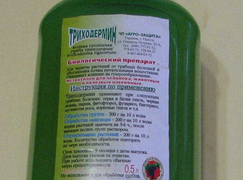 Фунгицид триходерма верде для цветов и овощей — инструкция по применению и отзывы