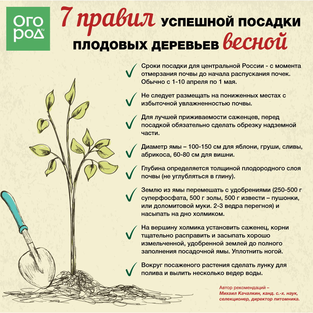 Какие деревья можно и нельзя сажать возле дома
