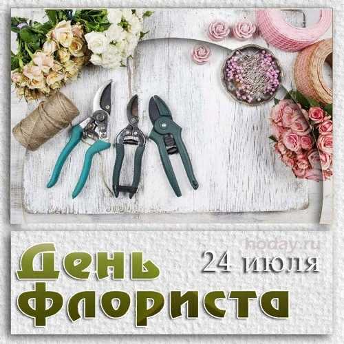Почему от красивых вещей люди становятся счастливее - hi-news.ru