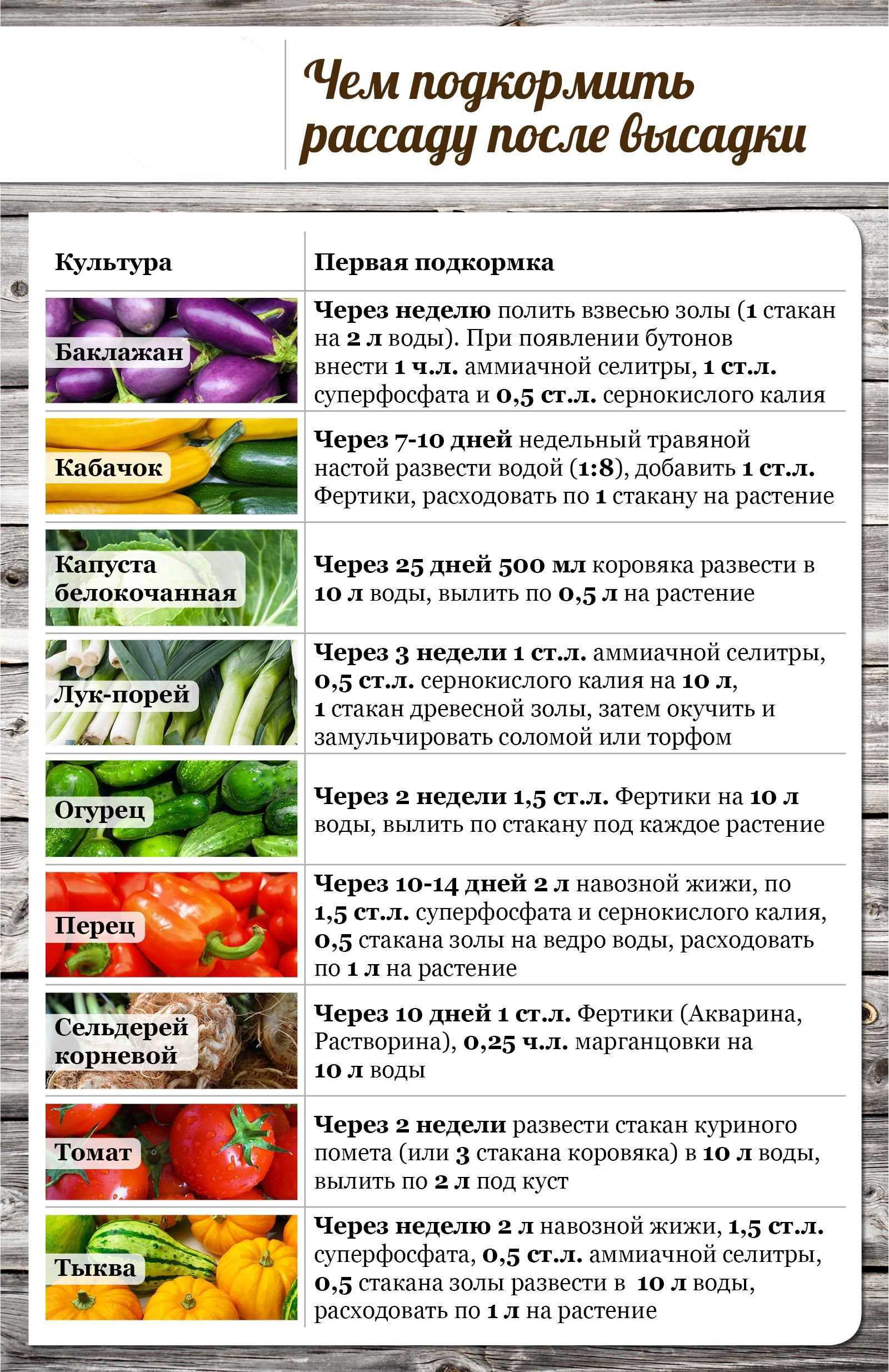 25 удобрений для подкормки перцев, которые найдутся в любом хозяйстве
