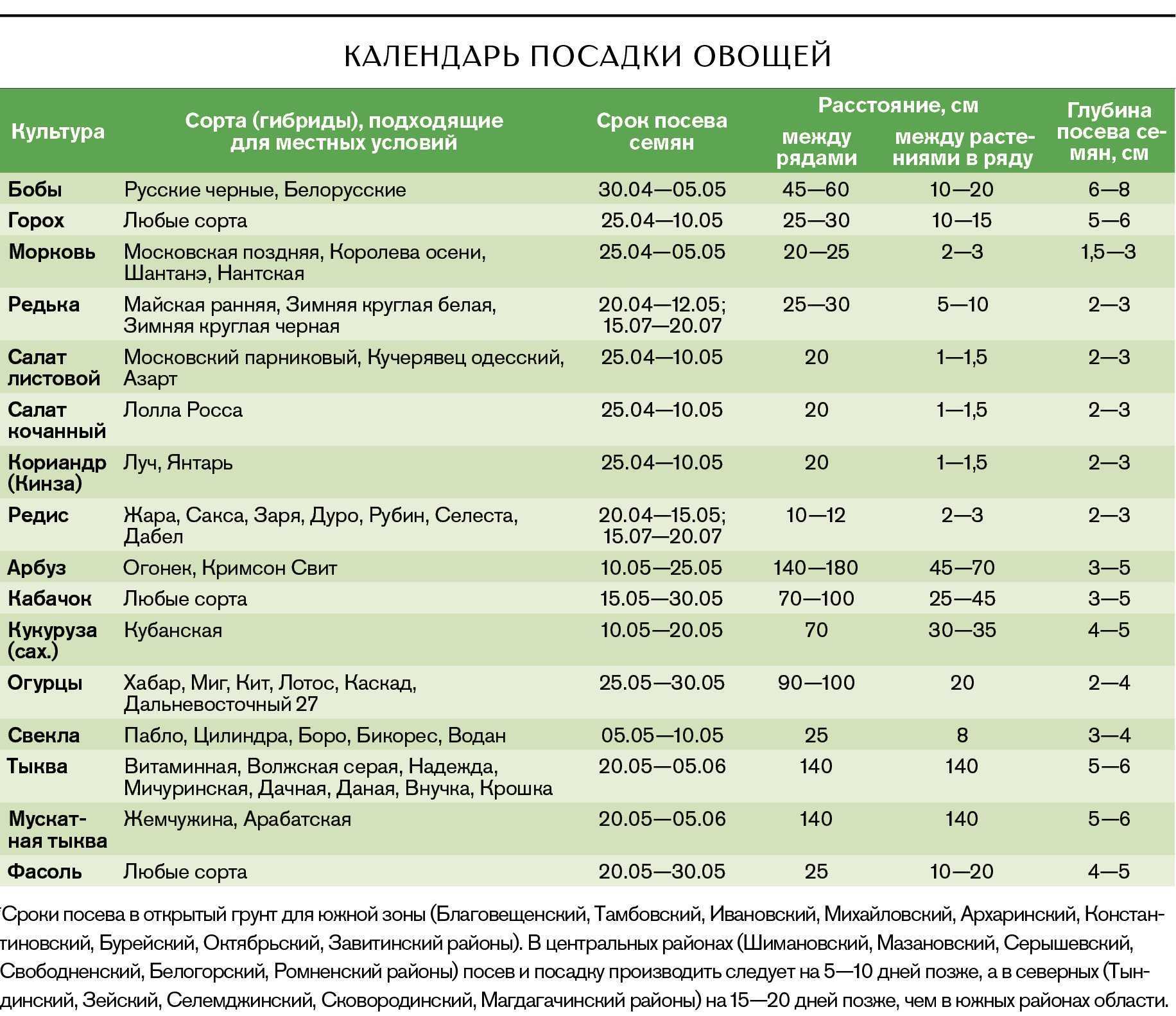 Как быстро прорастить петрушку - пряные и лечебные травы - 2021