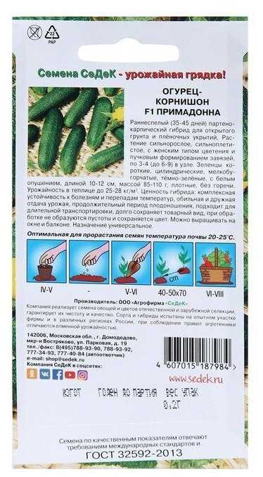Томат примадонна - основные характеристики, нюансы выращивания, отзывы читателей