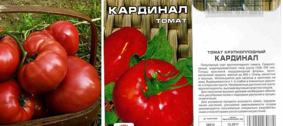 Характеристики сорта помидоров Кардинал: описание его преимуществ и недостатков Внешний вид кустов и их урожайность Основные правила выращивания