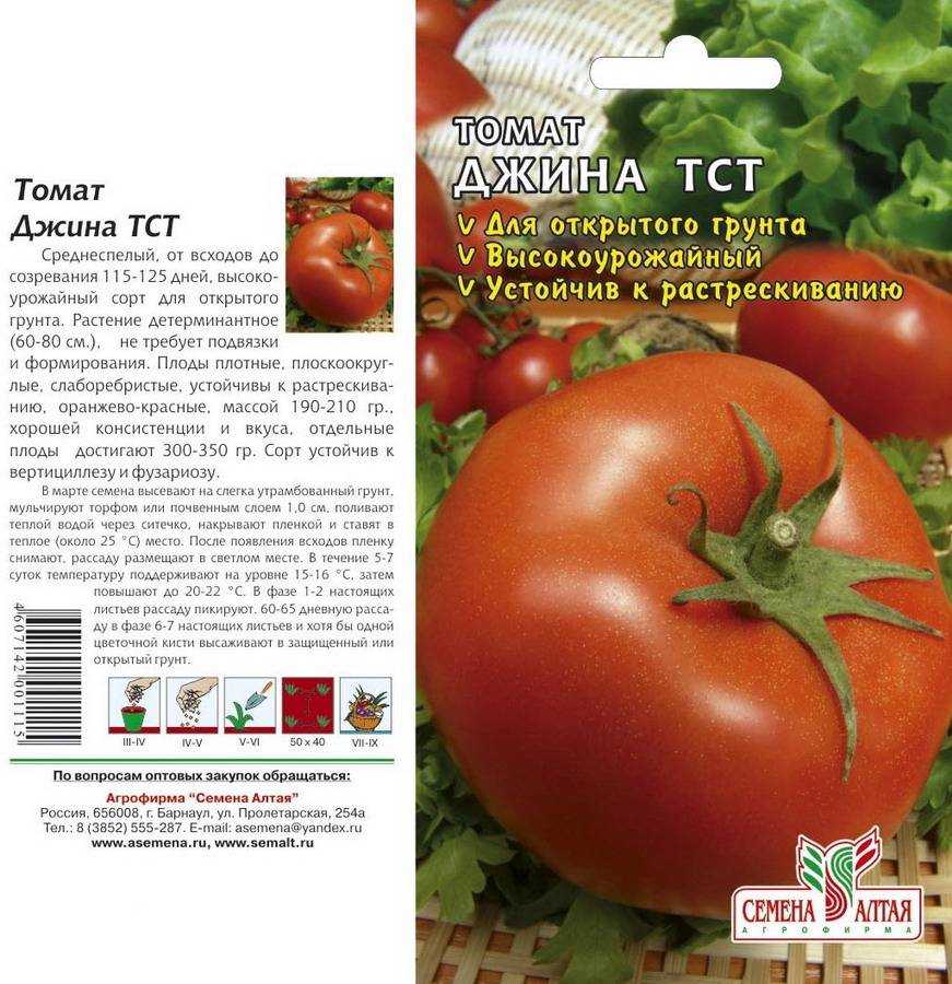 Томат джина тст: характеристика и описание, отзывы, фото, урожайность