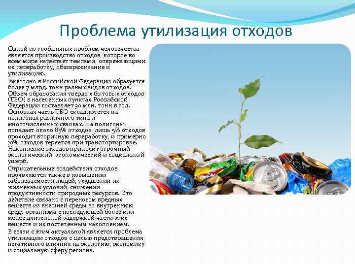Рыба содержит огромное количество микроэлементов, таких как фосфор, магний, кальций, йод, полезных не только для человека, но и для огородных