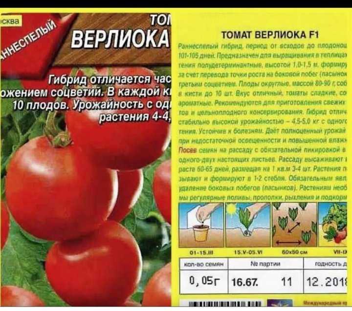 Сорт томатов пудовик, описание, характеристика и отзывы, фото, а также особенности выращивания