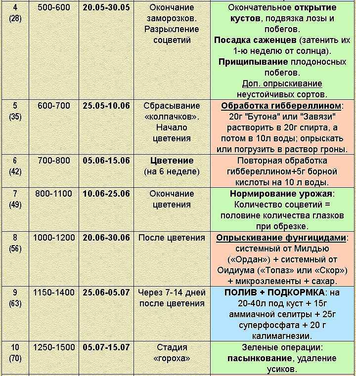Виноград после зимовки: когда открывать и как заботиться