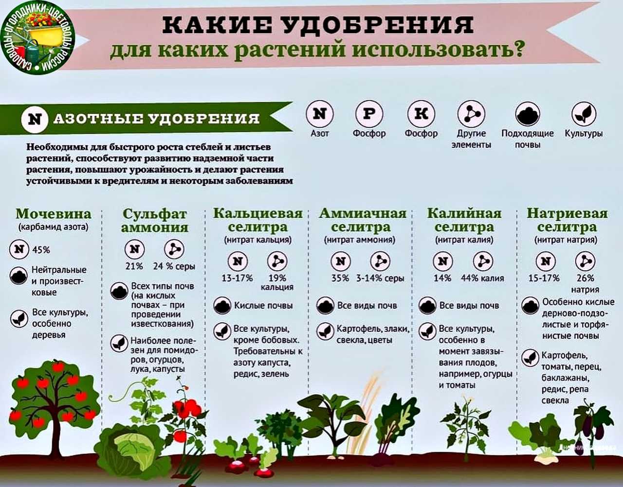 Хоста уход осенью: подготовка к зиме, правила обрезки и нужно ли укрывать