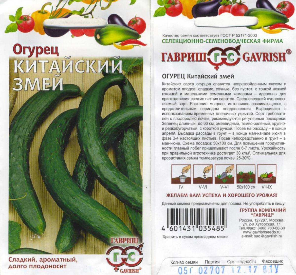 Белый огурец: описание и характеристики лучших сортов из китая, выращивание, отзывы с фото