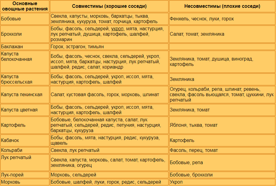 Что нельзя сажать после перцев, а что можно: список овощей
