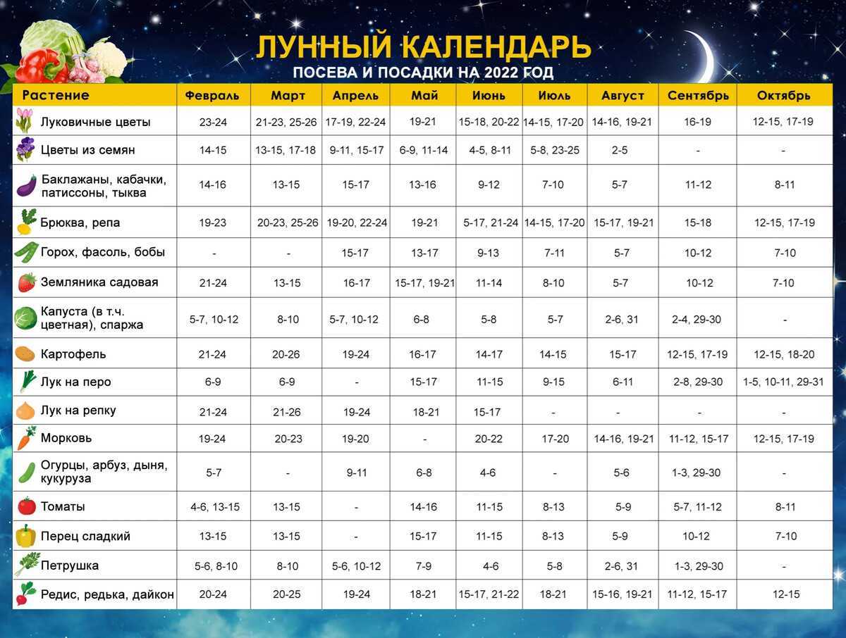 Рыболовный лунный календарь на март 2024