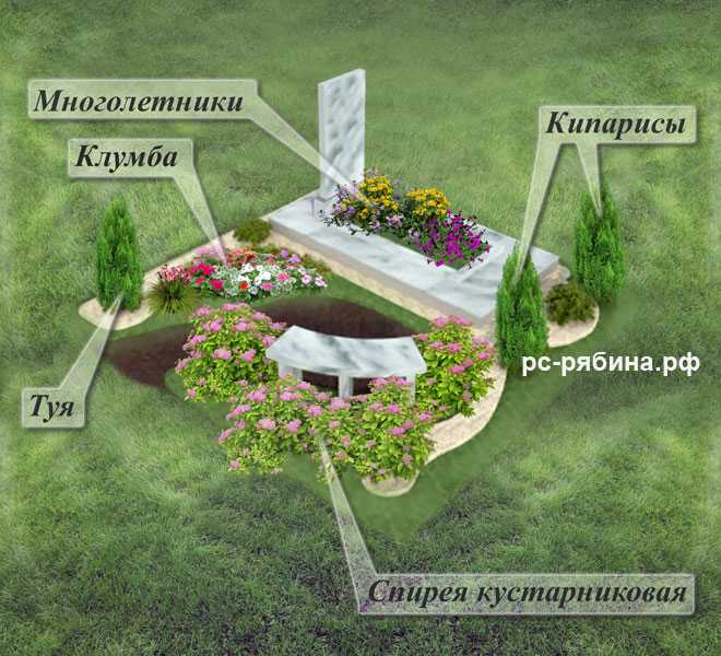 Многолетние цветы для кладбища не требующие ухода