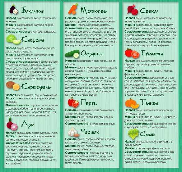 После чего можно сажать перец на следующий год