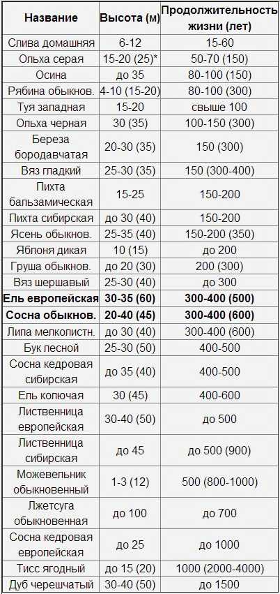 Лучшие сорта яблони для подмосковья: низкорослые, зимостойкие и устойчивые к парше