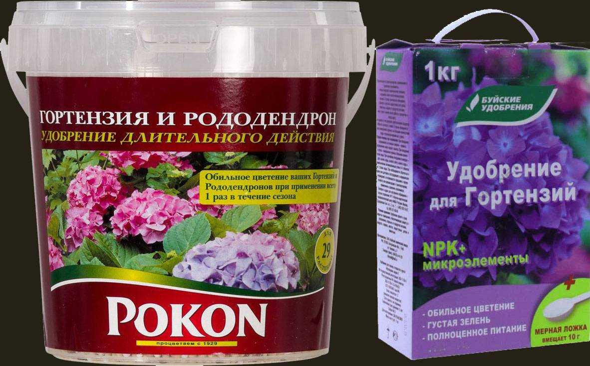 Чем подкормить гортензию в августе и осенью: виды удобрений