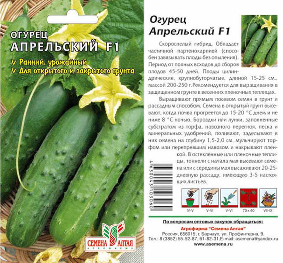 Огурец зозуля f1: отзывы, фото, выращивание в теплице и открытом грунте