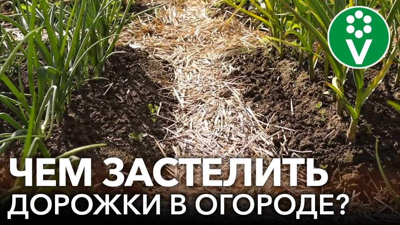 Как сделать удобные дорожки между грядками на даче