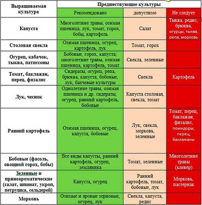 Можно ли сажать лук после лука на следующий год