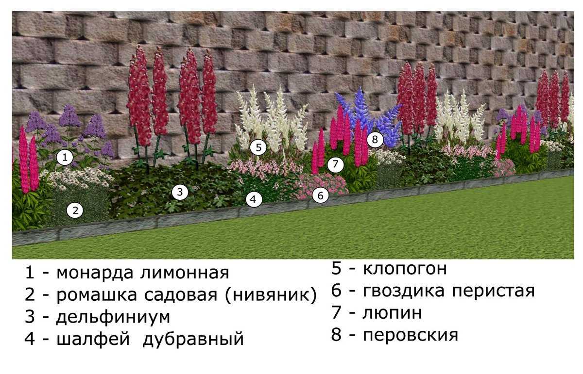 Какие деревья по народным приметам не стоит сажать на своем участке?
