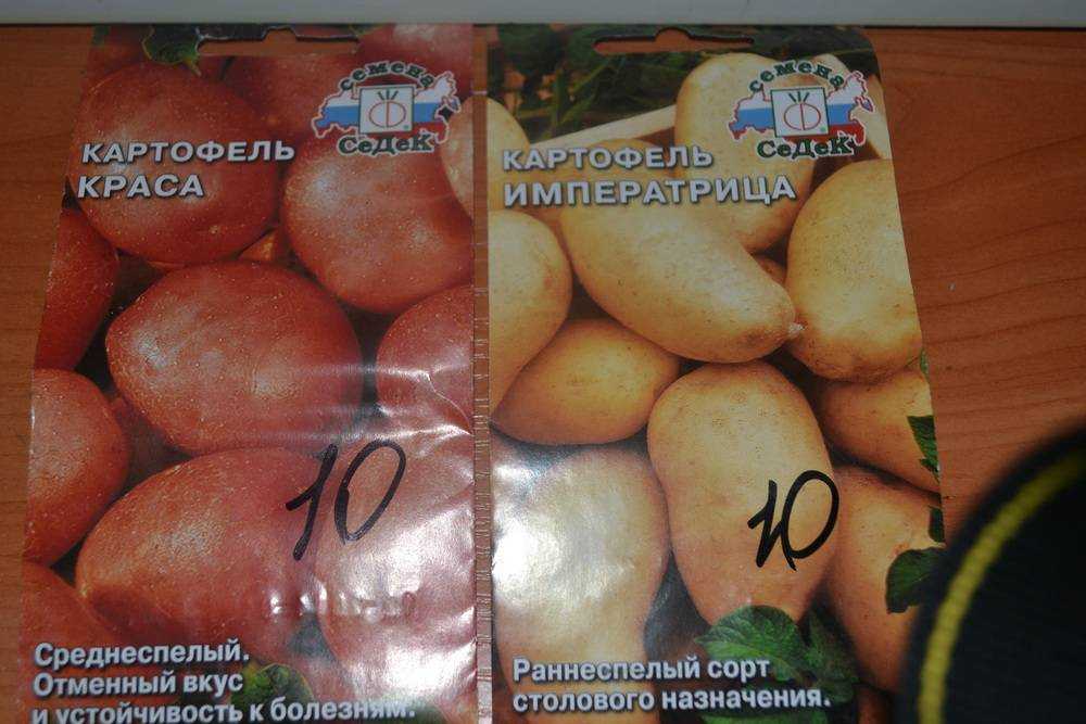 Картофель императрица описание сорта фото отзывы