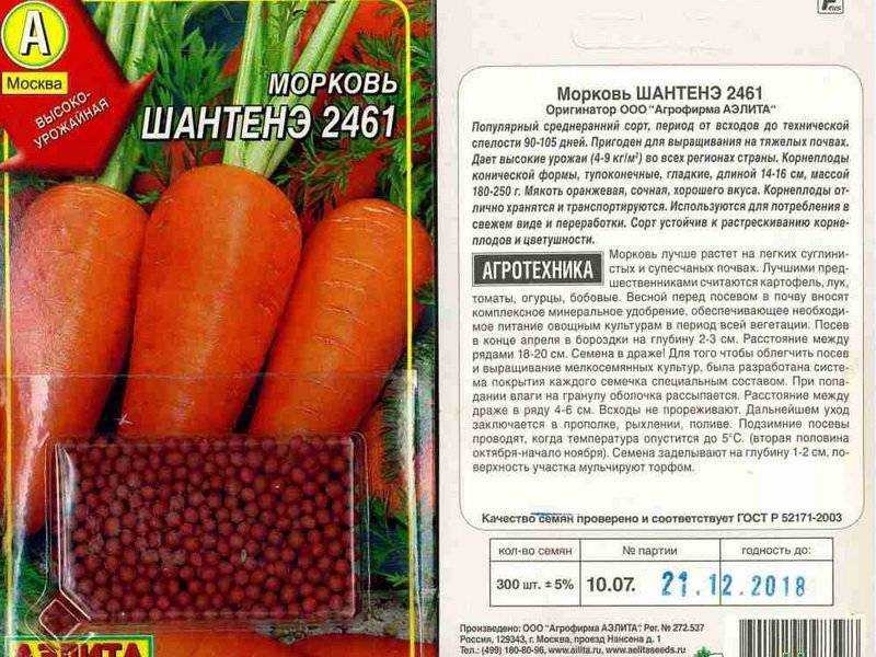 Когда осенью 2021 и как сажать под зиму свеклу, какие сорта можно сеять: пошагово с видео посадка буряка