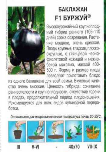 Баклажан буржуй: описание сорта, фото, характеристика плодов, отзывы, урожайность, достоинства и недостатки, особенности выращивания