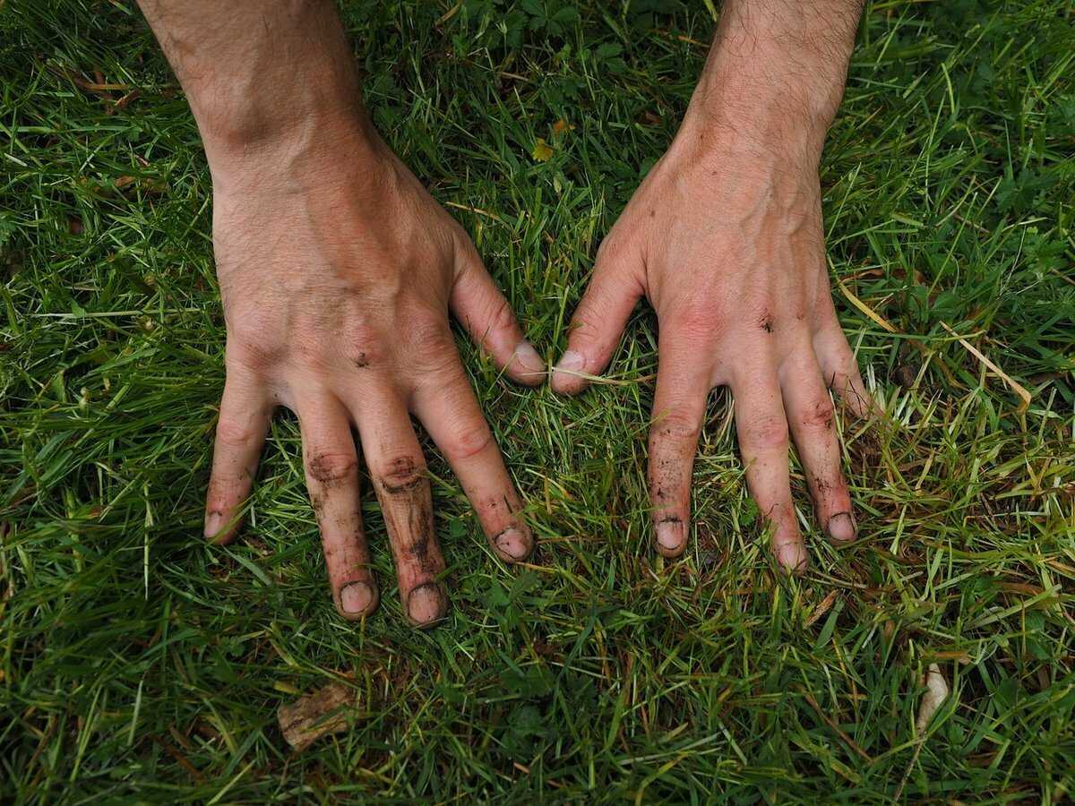 Растворы, которые помогут отбелить руки и ногти от сильных загрязнений после работы в огороде