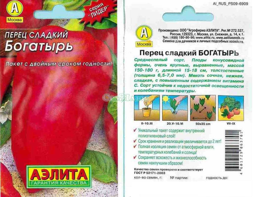Перец богатырь: характеристика и описание сорта, инструкция по выращиванию богатого урожая сладкого овоща, полезные советы