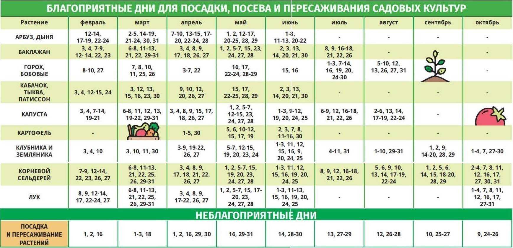 Какие цветы сажать осенью под зиму