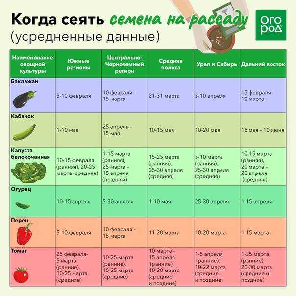 Лучшие сорта капусты на 2023 год: самые урожайные, вкусные, для разных регионов