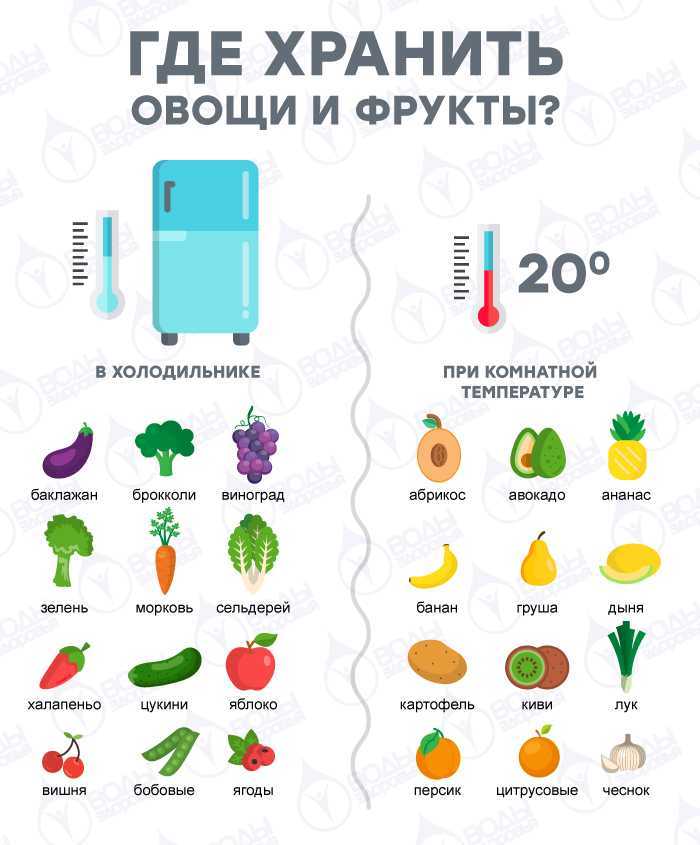 Почему помидоры нельзя хранить в холодильнике: сколько они хранятся и где их лучше держать, чтобы сохранить свежими надолго