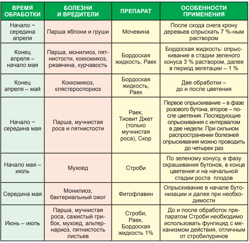 Чем опрыскивать розы весной после открытия