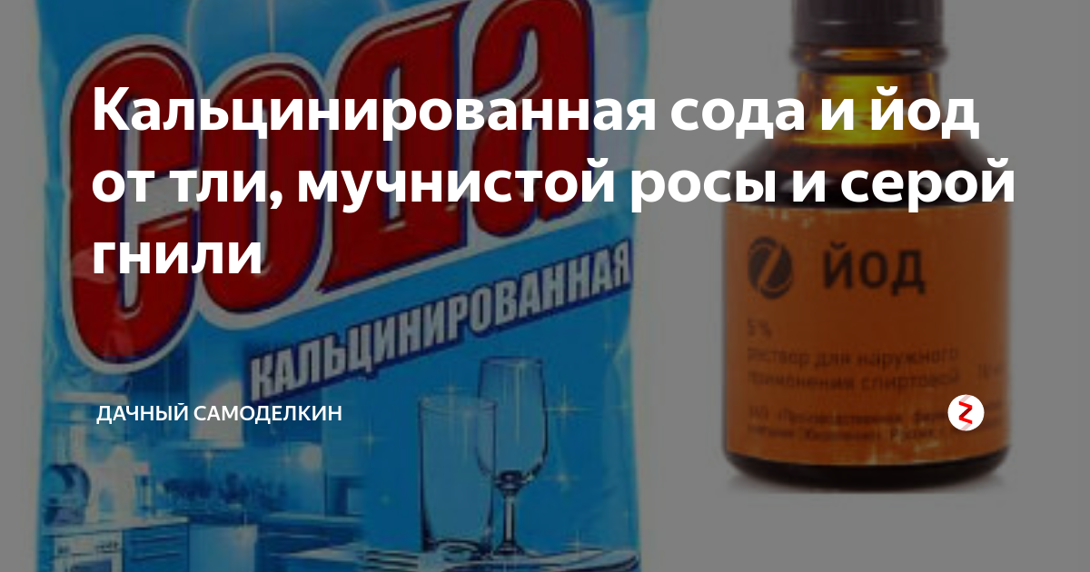 Пищевая сода для сада и огорода: 22 способа применения на участке