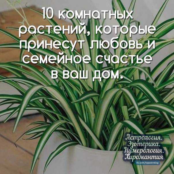 Камни любви, притягивающие счастье и семейное благополучие