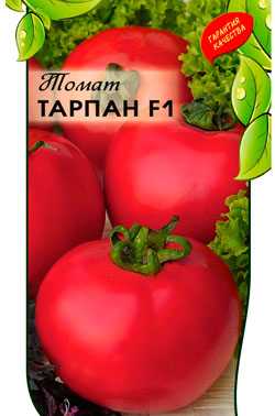 Характеристика томатов сорта тарпан